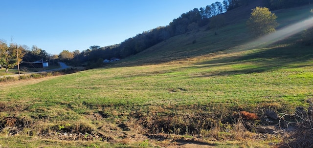 view of yard featuring a rural view and a mountain view