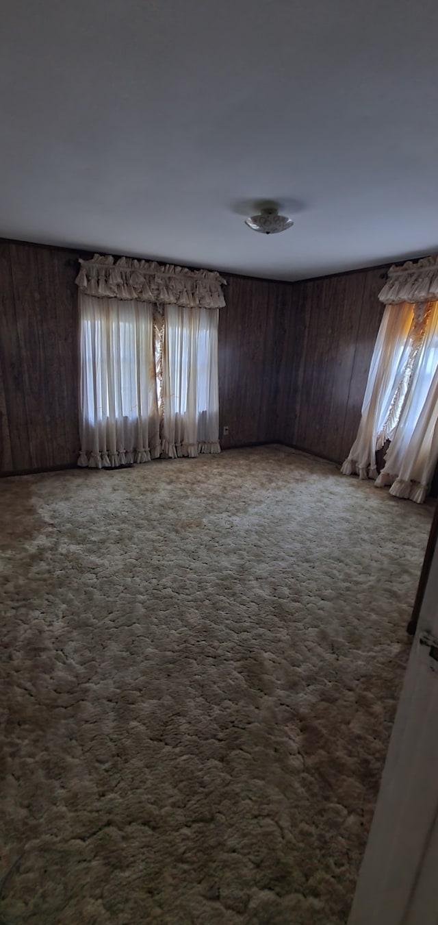 unfurnished room with wood walls and carpet flooring