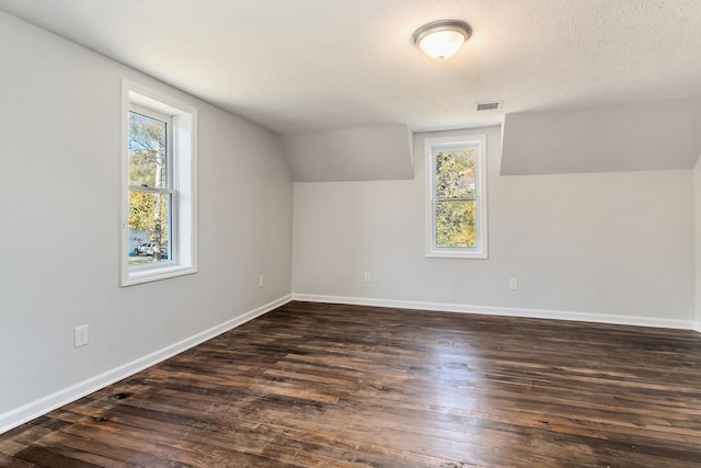 additional living space featuring vaulted ceiling, a textured ceiling, dark hardwood / wood-style flooring, and plenty of natural light