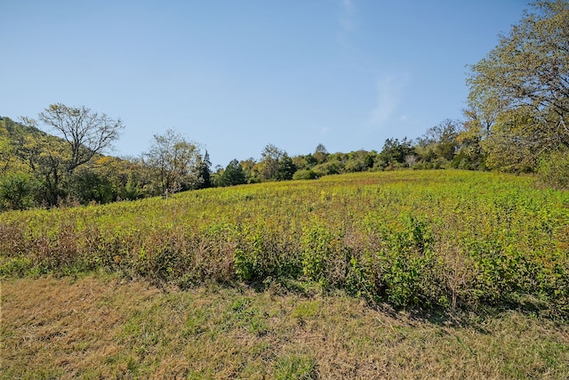 view of nature featuring a rural view