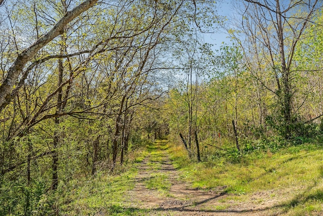 view of landscape