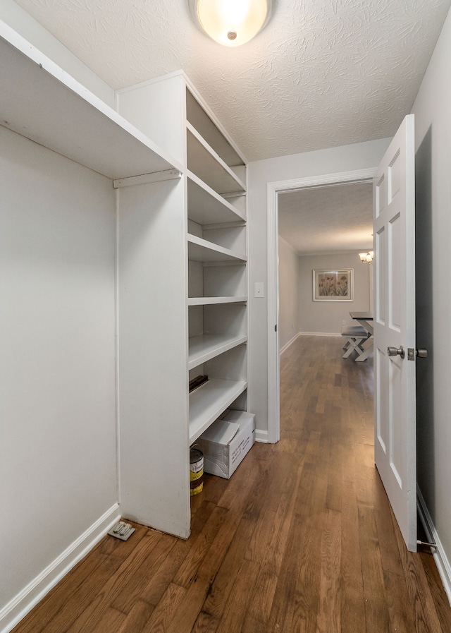 walk in closet with dark wood-type flooring