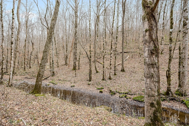 view of nature