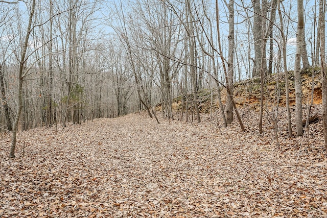 view of nature