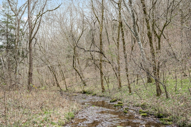 view of local wilderness