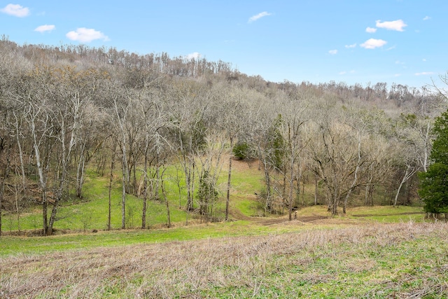 view of landscape