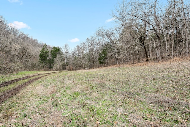 view of local wilderness