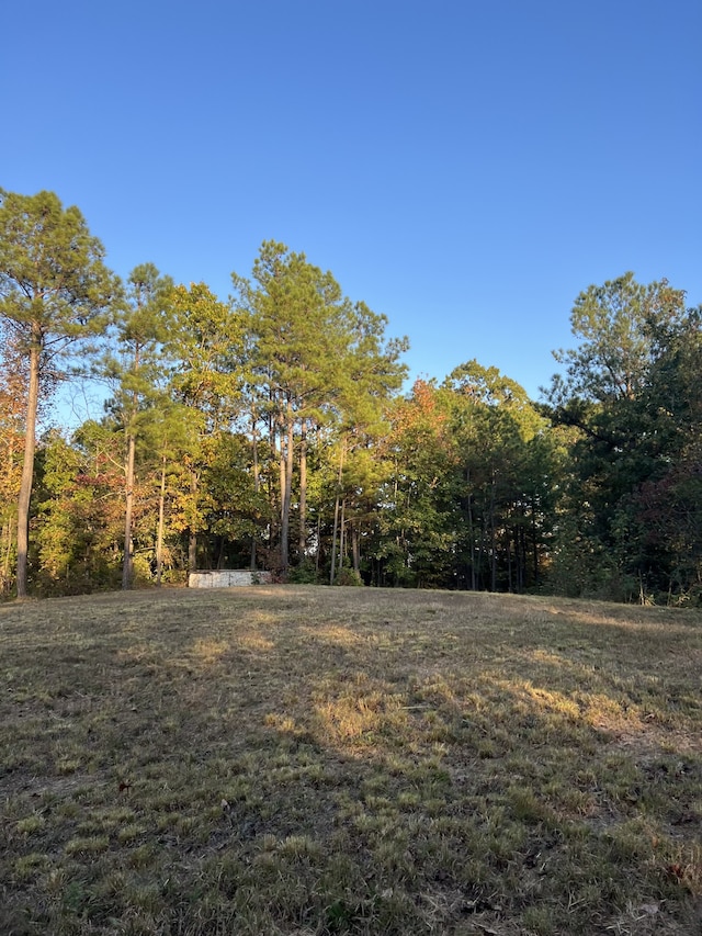 0 Firetower Rd, Camden TN, 38320 land for sale