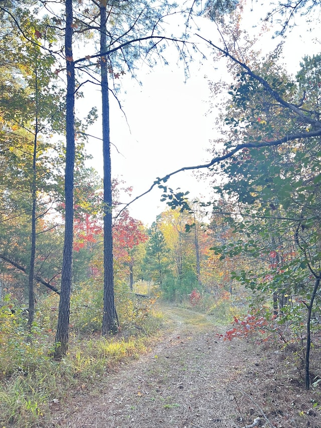 Listing photo 2 for 0 Firetower Rd, Camden TN 38320