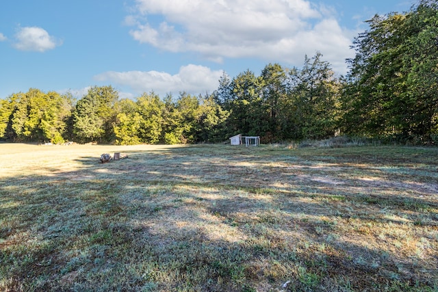 view of yard with a shed