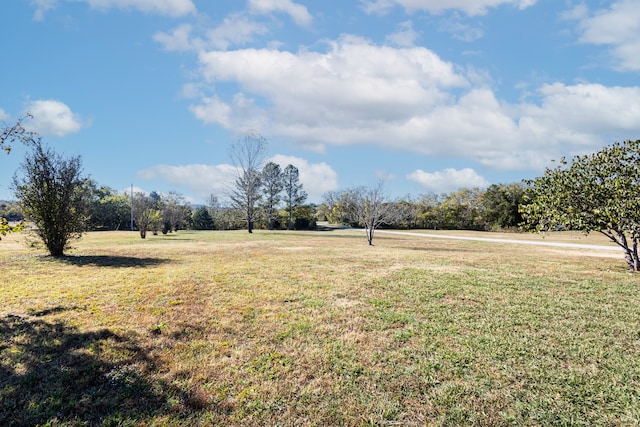 view of yard with a rural view