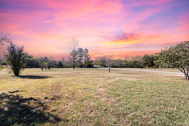 view of yard at dusk