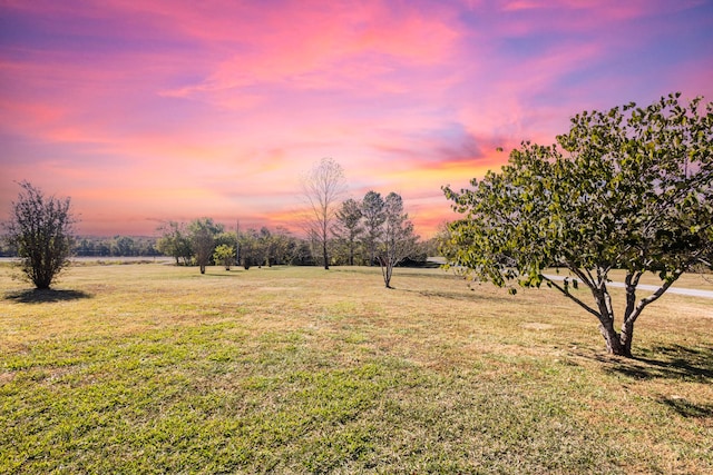 view of yard at dusk