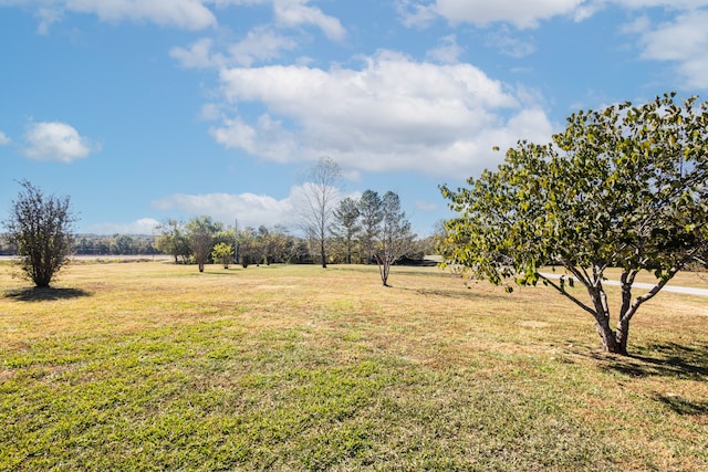 view of yard with a rural view