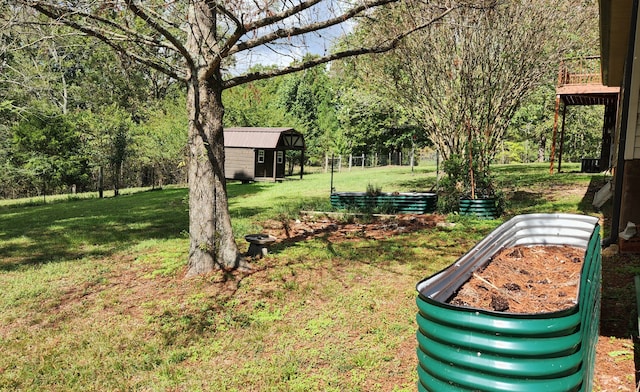 view of yard featuring a shed