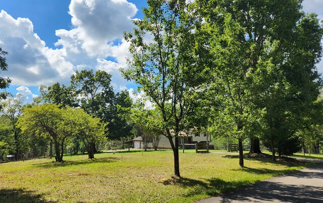 view of property's community with a lawn