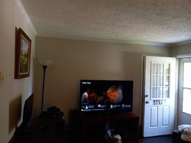 living room featuring crown molding, a textured ceiling, and a healthy amount of sunlight