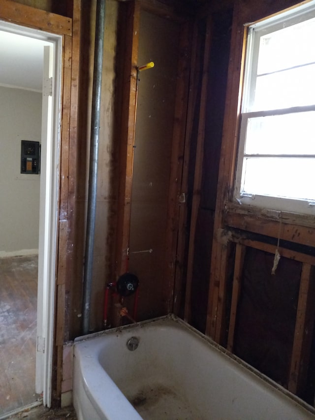 bathroom featuring a wealth of natural light and a washtub