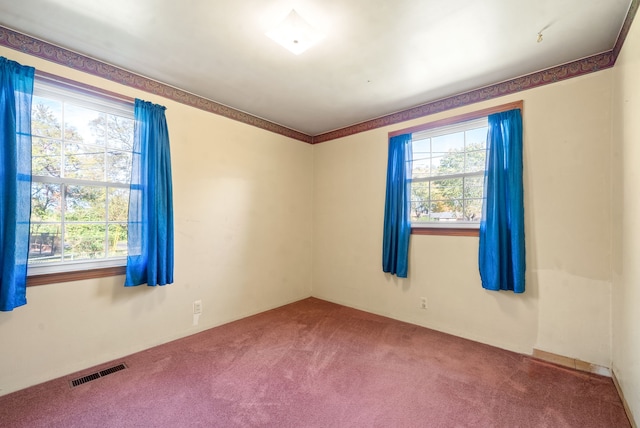 carpeted empty room featuring a healthy amount of sunlight