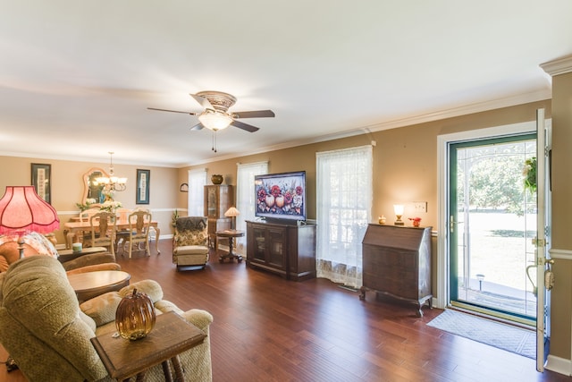 living room with dark wood-type flooring, crown molding, and ceiling fan with notable chandelier