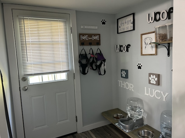 entryway with dark wood-type flooring