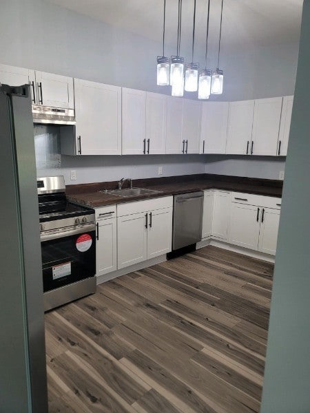 kitchen with white cabinets, stainless steel appliances, ventilation hood, and dark hardwood / wood-style floors