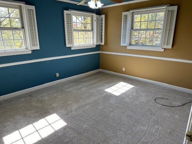 empty room featuring crown molding, ceiling fan, carpet floors, and plenty of natural light