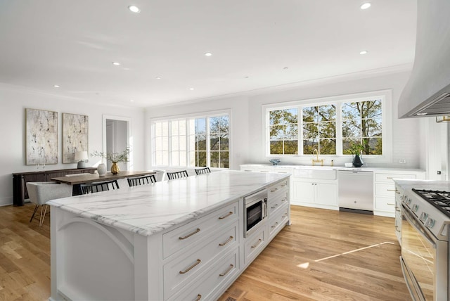 kitchen with white cabinets, a healthy amount of sunlight, light hardwood / wood-style floors, and appliances with stainless steel finishes