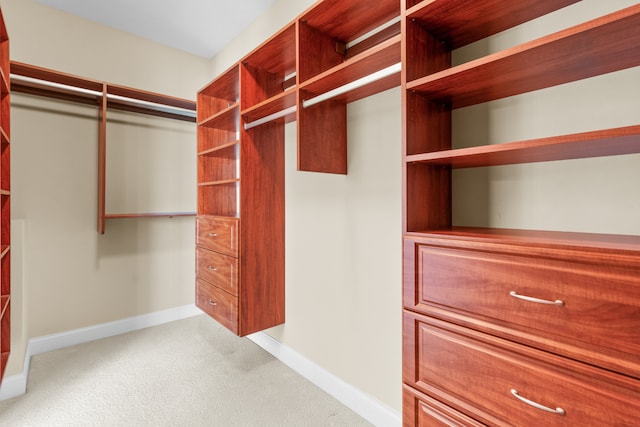 spacious closet with light carpet