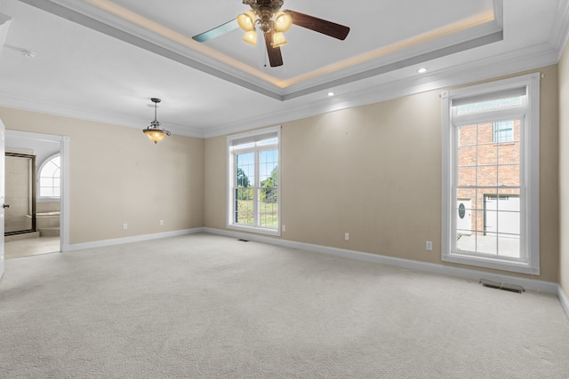 unfurnished room with crown molding, light carpet, a wealth of natural light, and a raised ceiling