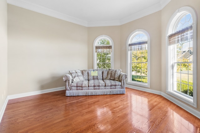 living area with crown molding and wood-type flooring