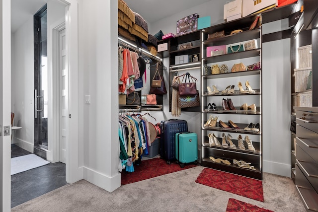 walk in closet featuring carpet flooring