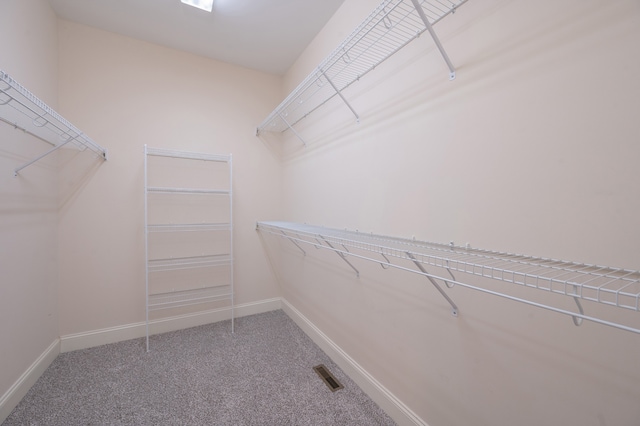 spacious closet with carpet flooring