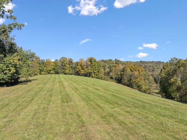 view of yard featuring a rural view