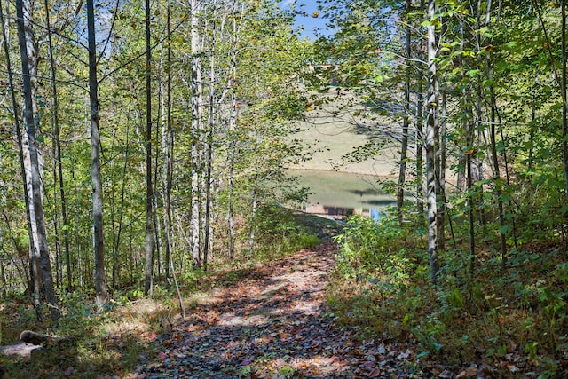 view of landscape featuring a water view