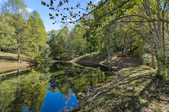 view of landscape featuring a water view