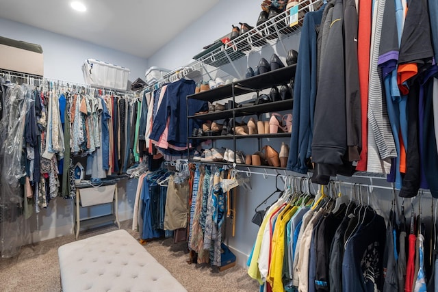 spacious closet with carpet