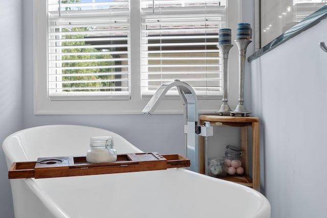 details with sink and a bath