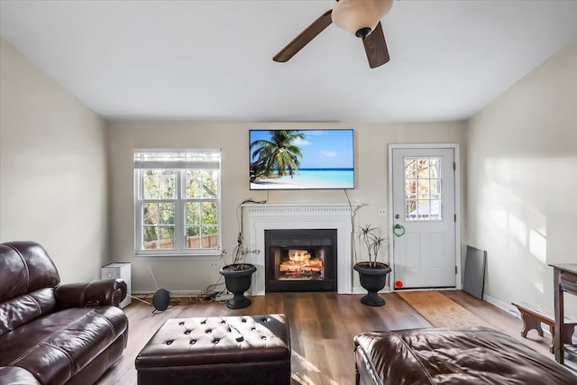 living room featuring ceiling fan and light wood-type flooring