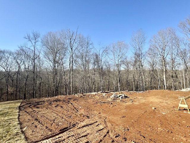 view of landscape featuring a forest view