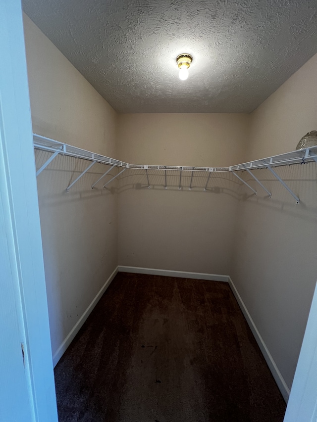 walk in closet featuring dark colored carpet