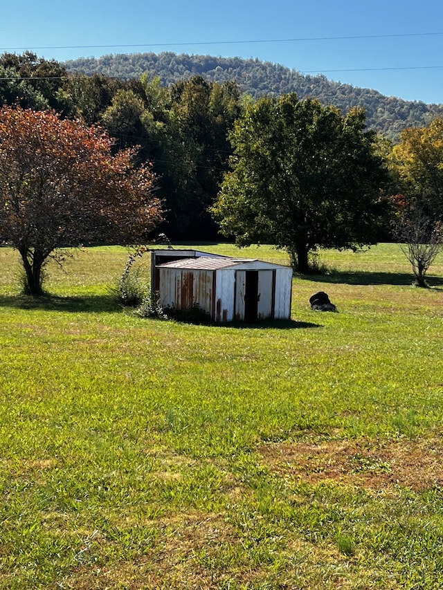 view of yard featuring a rural view