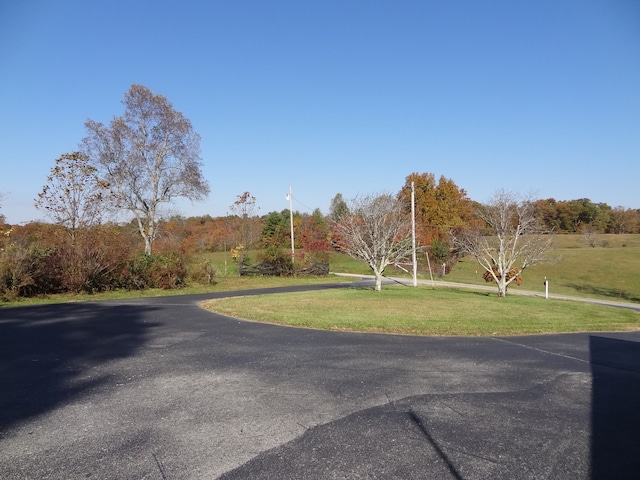 view of road