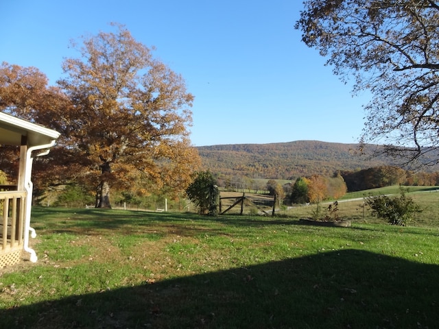 view of yard featuring a mountain view