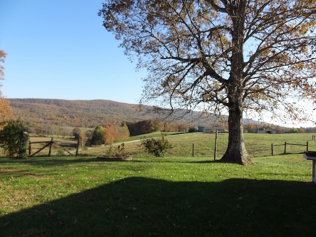 view of yard featuring a mountain view and a rural view