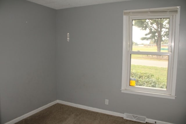 carpeted spare room featuring a wealth of natural light