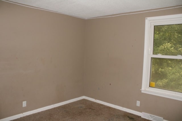 spare room featuring carpet and a textured ceiling