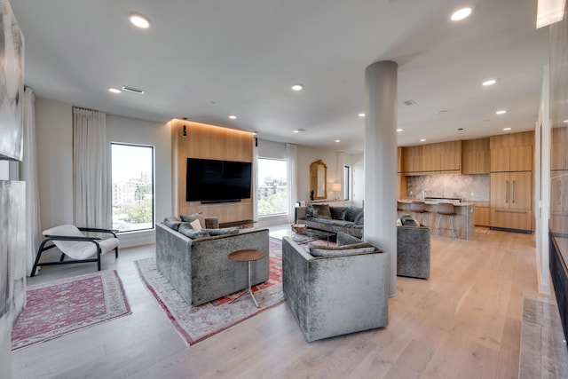 living room featuring light hardwood / wood-style flooring