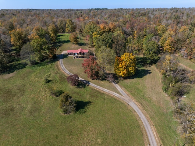 aerial view