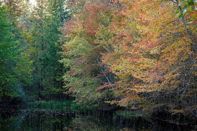 view of landscape